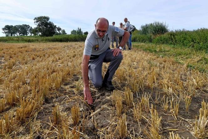 روز جهانی مبارزه با بیابان‌زایی و خشکسالی ۲۰۲۳/ اروپا در حال بیابان شدن