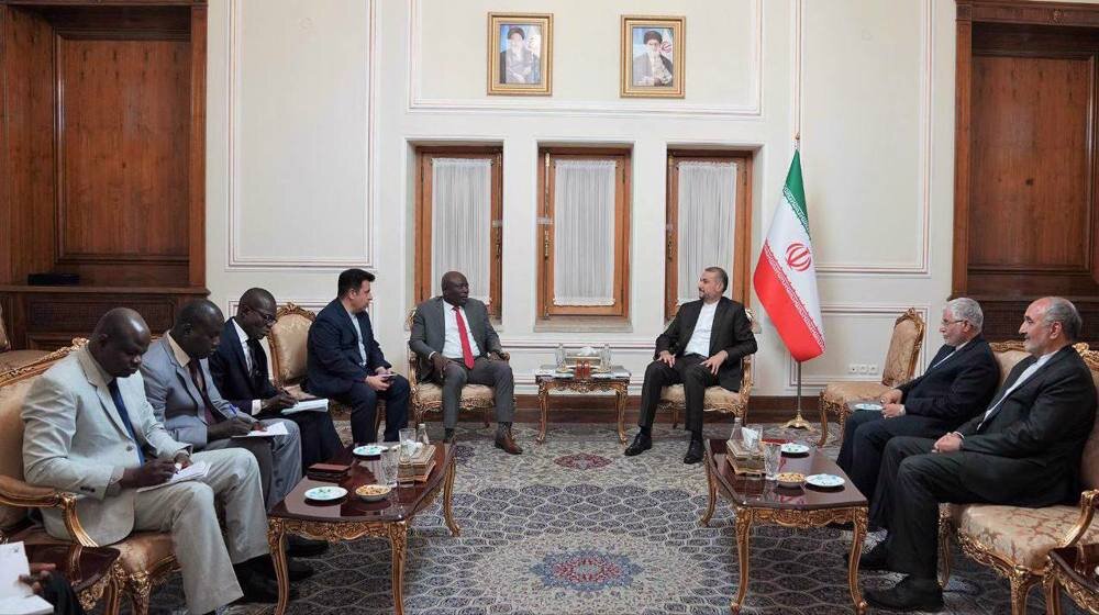 Developing ties with African nations priority for Iran, according to  foreign minister
