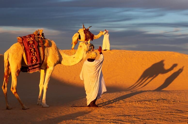 مرگ هندیها بر اثر گرما + سوزانترین نقاط دنیا