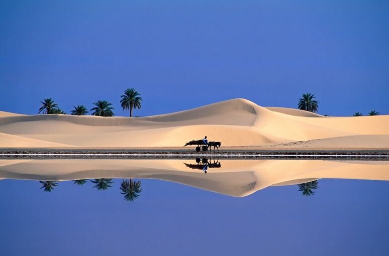 مرگ هندیها بر اثر گرما + سوزانترین نقاط دنیا