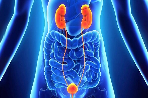 بیماریهای شایع در مردان را بشناسید