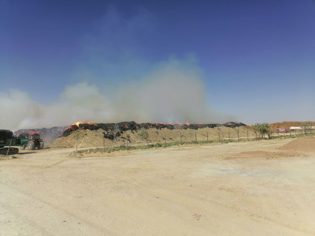 علت آتشسوزی دامداری در زیار چه بود؟