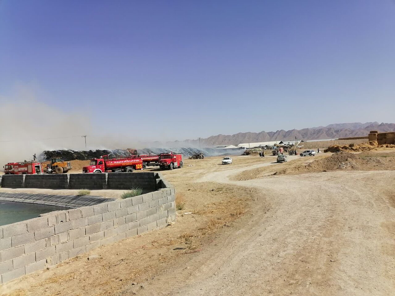 علت آتشسوزی دامداری در زیار چه بود؟