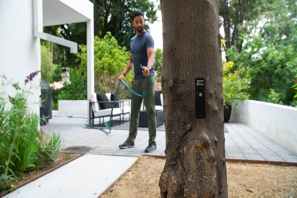 با این سیستم، حرفهای درختان را خواهید شنید!