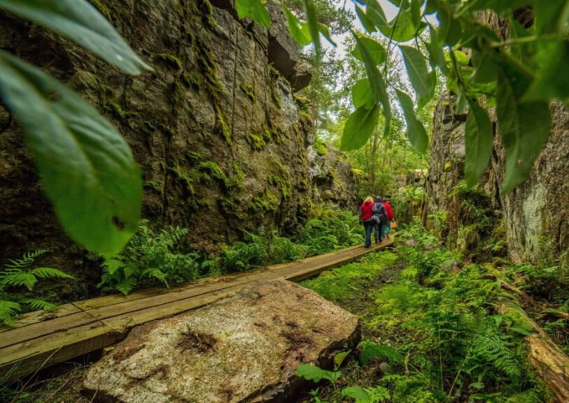 اینجا استفاده از تلفن همراه ممنوع است!