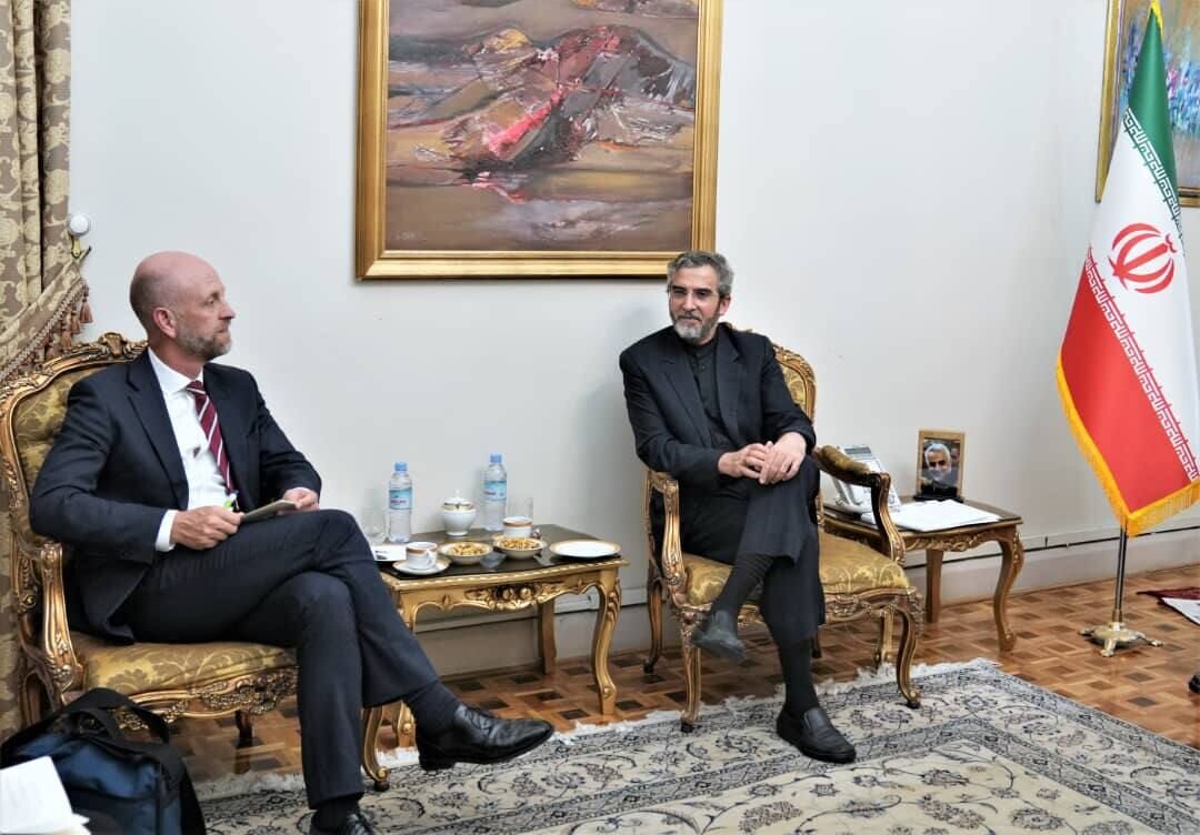 دیدار مدیرکل امور مناطق وزارت امور خارجه نروژ با علی باقری