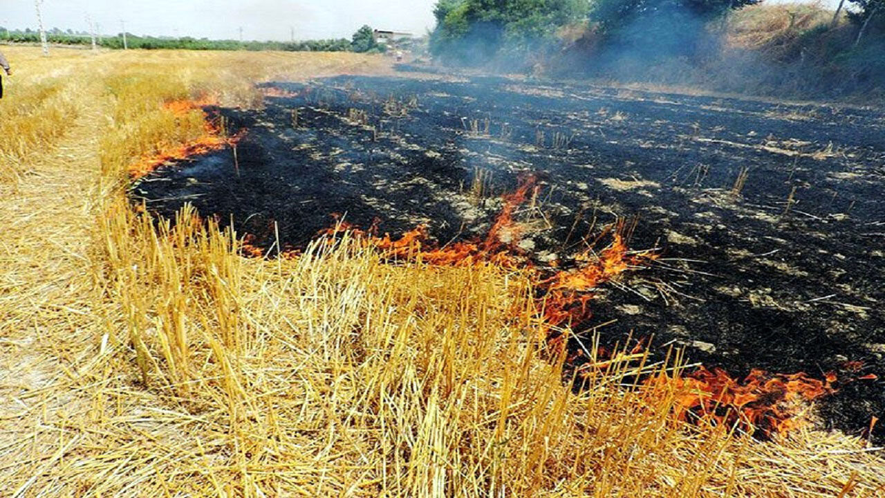 آتشی به قیمت جان مردم/ مزارعی که در باورهای غلط میسوزد