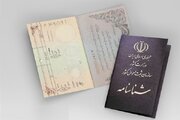 تهران بیشترین تعداد موالید را به خود اختصاص داده است