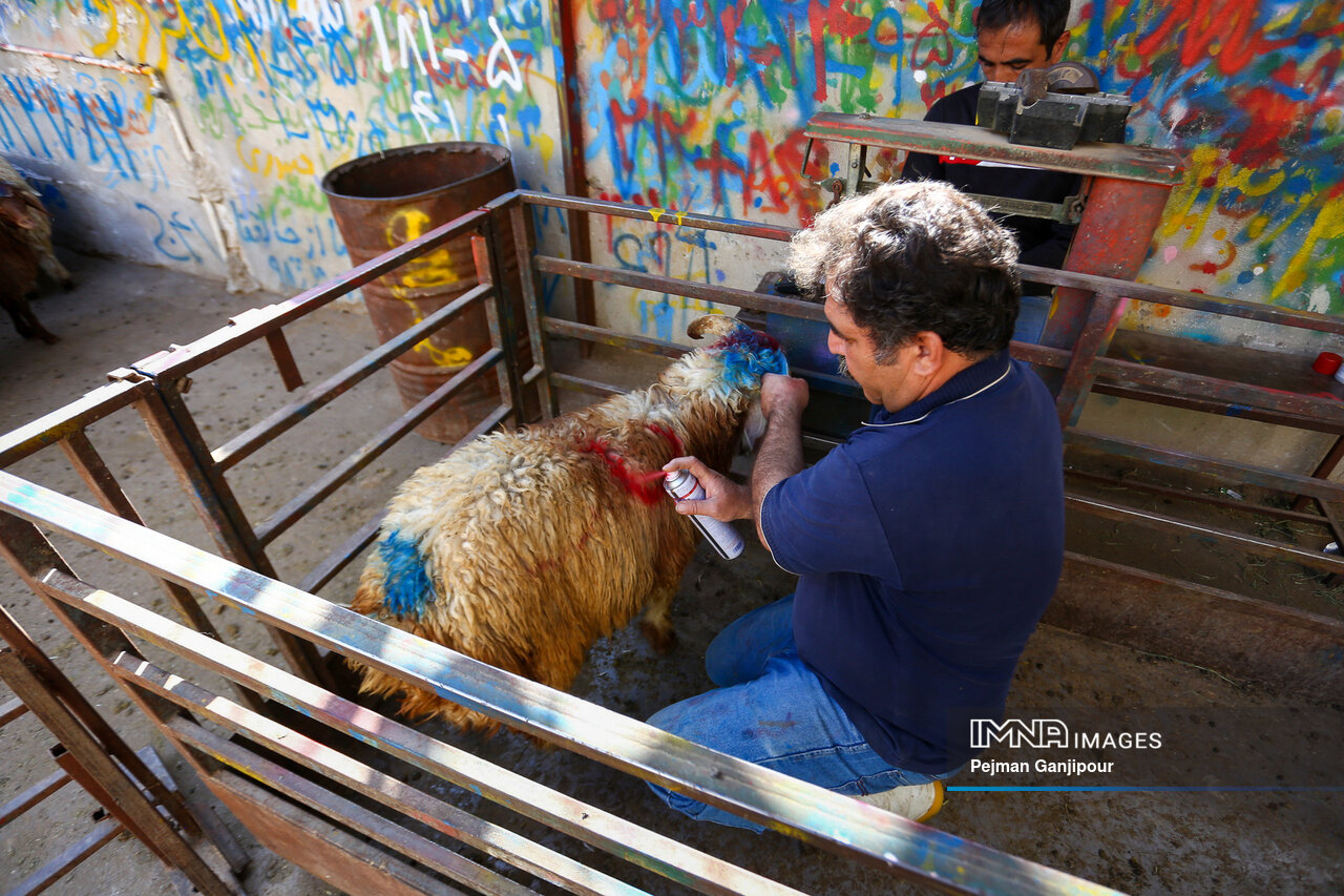 عید قربان، فرصتی برای بریدن از خویش و رسیدن به معشوق