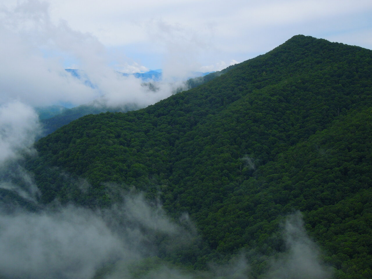 مدیریت منابع آب شیرین لازمه حفظ حیات زمین