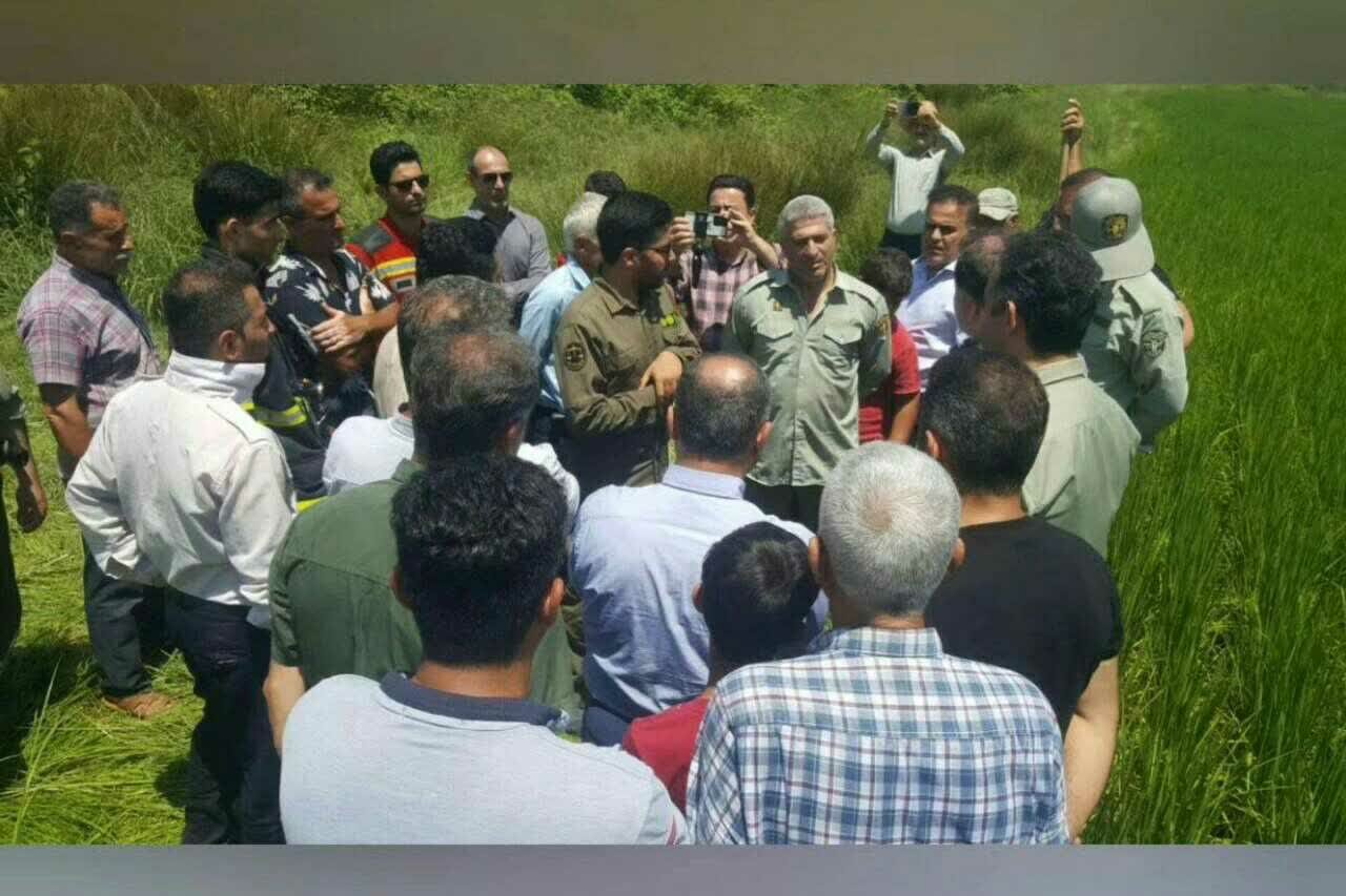 جولان «مار غولپیکر» در شفت؛ شایعه یا واقعیت؟