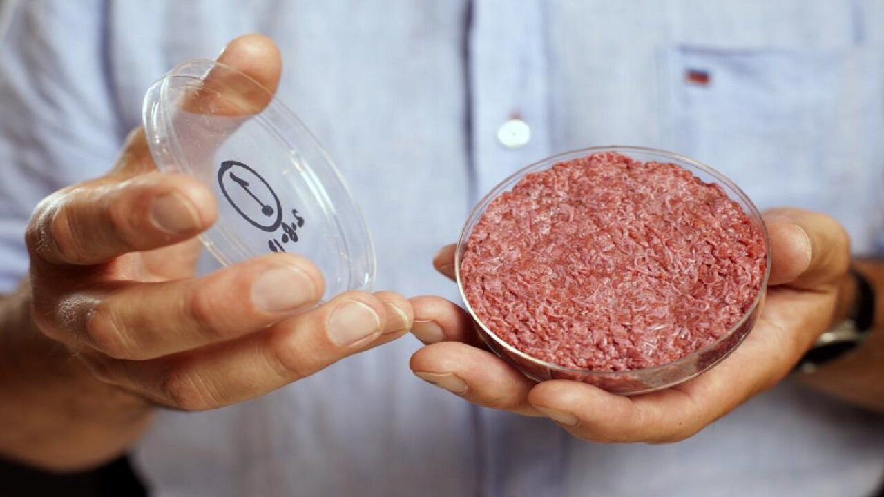 تولید گوشت مصنوعی به امنیت غذایی کمک می‌کند