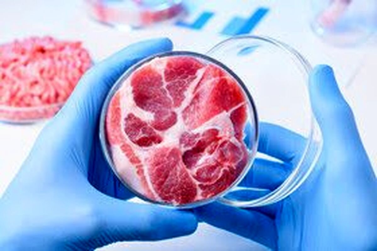 تولید گوشت مصنوعی به امنیت غذایی کمک می‌کند