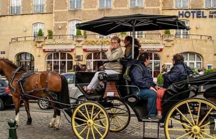 جایگزینی درشکههای گردشگری با کالکسههای الکترونیکی در بروکسل