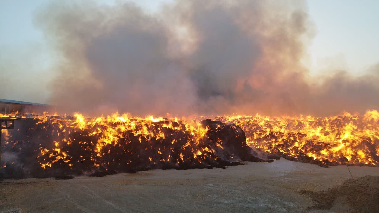 حریق گاوداری در محمدآباد /  ۱۴۰۰ تن علوفه در آتش سوخت + عکس
