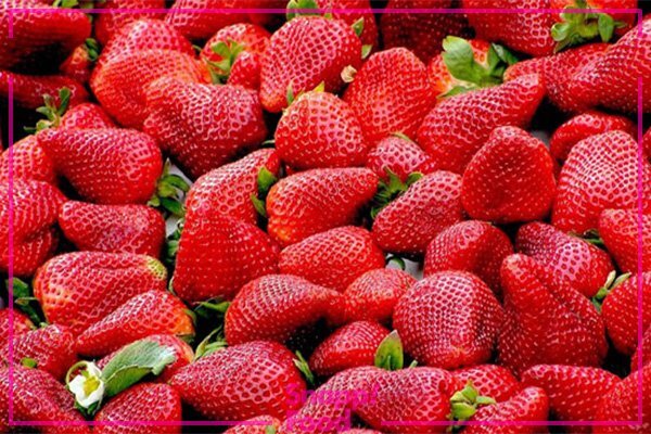 درمان سریع ویروس روتا در کودکان و بزرگسالان