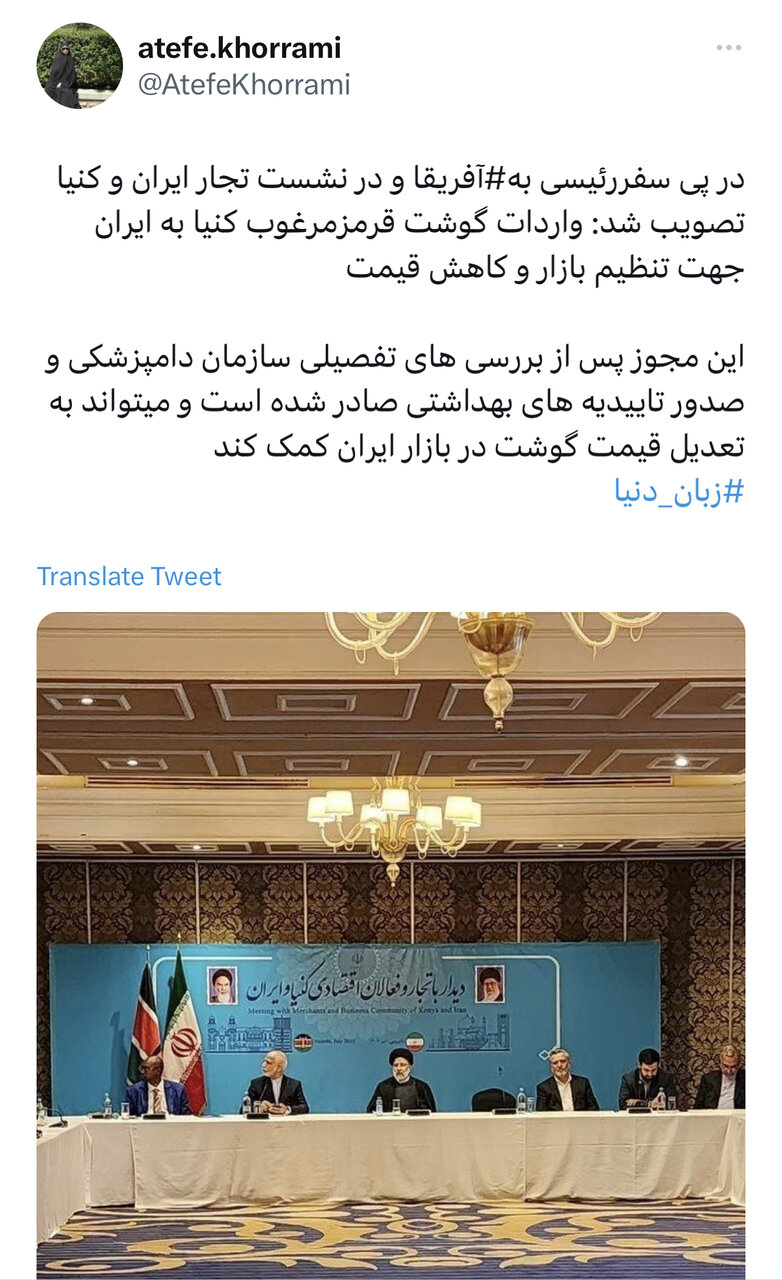 سفر به قاره فرصتها؛ پیشتازی دیپلماسی اقتصادی در قاره سیاه