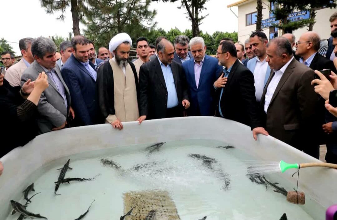 قول مساعد وزیر برای پیگیری مشکلات کشاورزان/ وزارت کشاورزی به آبزیپروری نگاه ویژه دارد