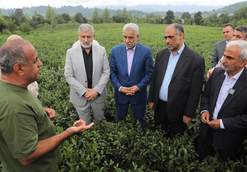 قول مساعد وزیر برای پیگیری مشکلات کشاورزان/ وزارت کشاورزی به آبزیپروری نگاه ویژه دارد