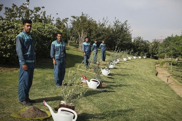 عصرانه خبری شهرهای ایران در ۱۱ آذر