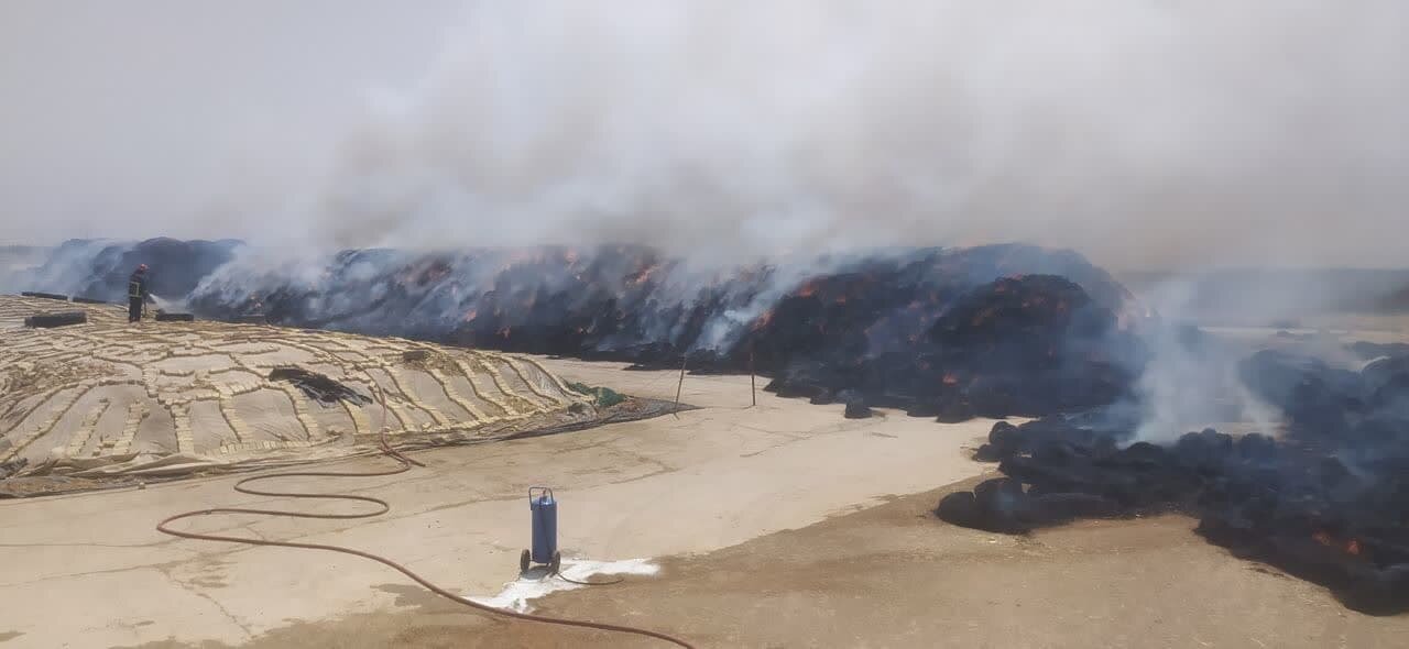 خاموشی کامل حریق انبار علوفه کشت و دام قیام شاهینشهر یک تا ۲ روز به طول میانجامد + عکس