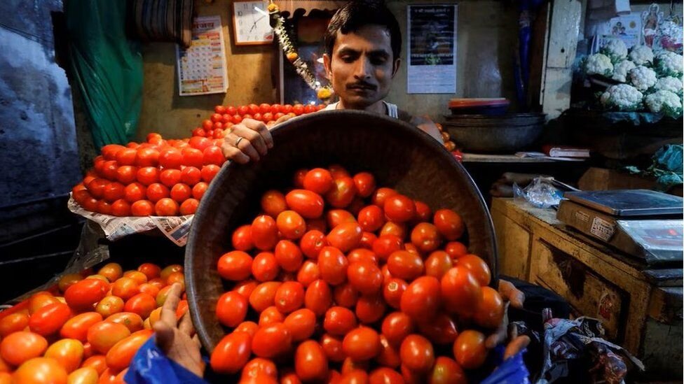 پادشاهی گوجه‌فروشان در هند!