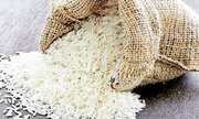 لزوم بازگشایی مراکز خرید جدید برنج در استان مازندران