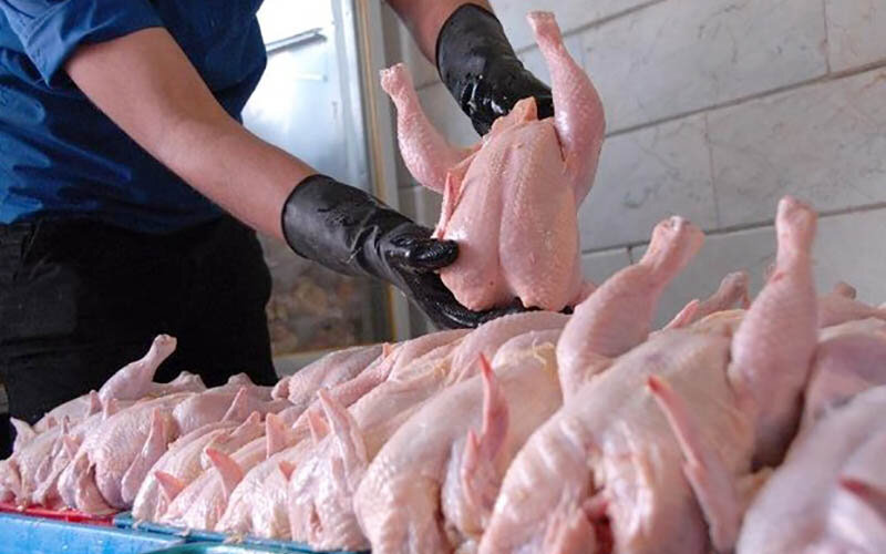 عرضه مرغ با نرخ مصوب در بازارچه شهرداری قزوین