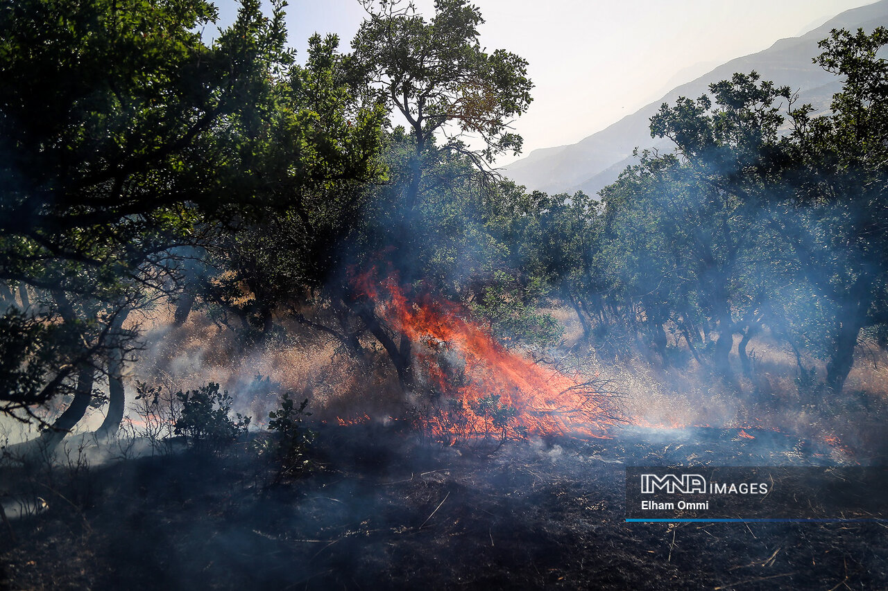 آتش بر جان طبیعت کشور به روایت آمار