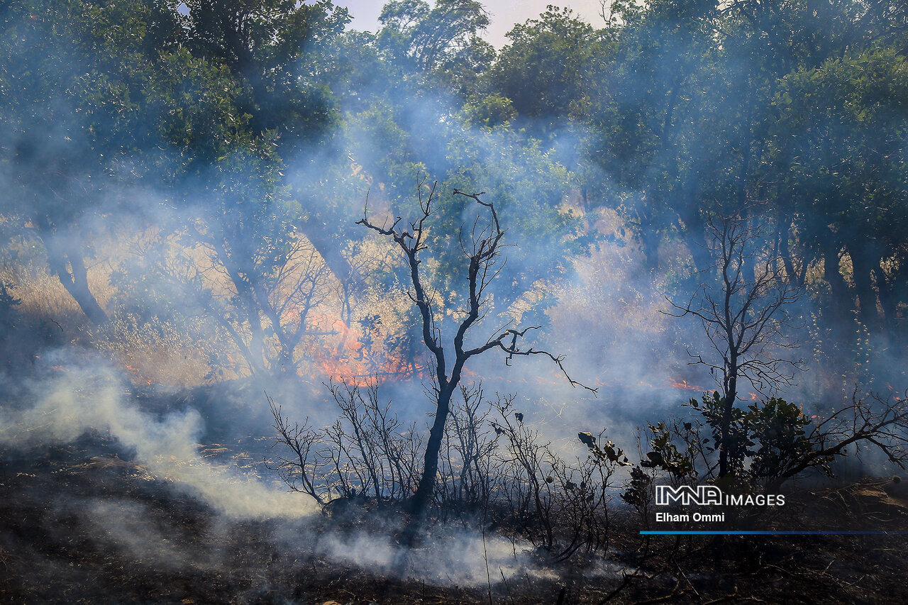 آتشی که سوزاند و داغی که بر دل گذاشت