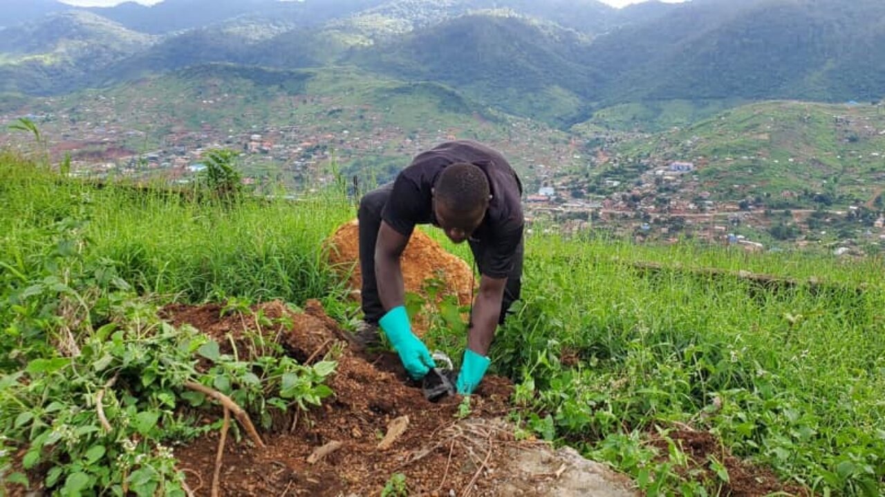 شهرهایی از جهان با بیشترین تحولات ناشی از طب سوزنی شهری