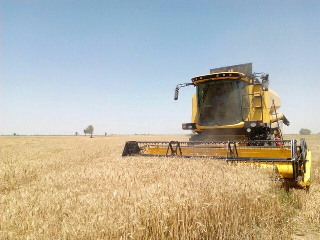 سهم ۸۵ درصدی بخش کشاورزی در صادرات استان کرمان