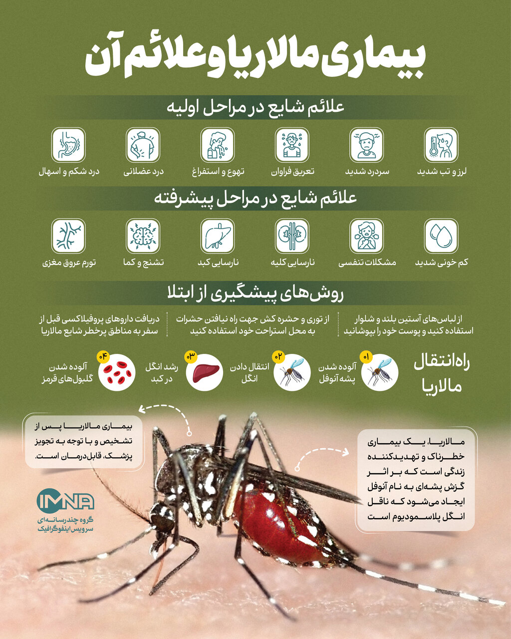 بیماری مالاریا و علائم آن