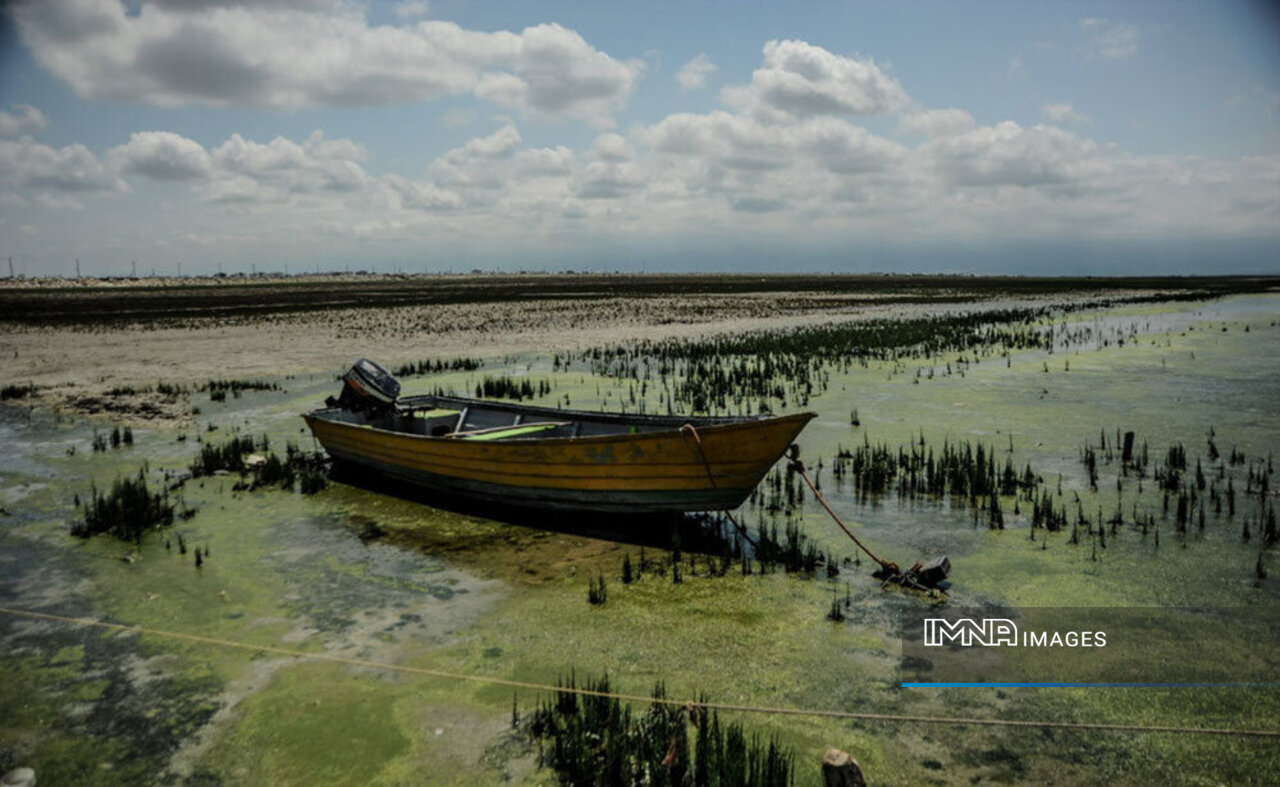 Miankaleh; Iran's profoundly significant ecological sanctuary