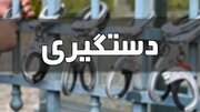 متهمان اصلی پرونده جنگلبان اصفهانی دستگیر شدند