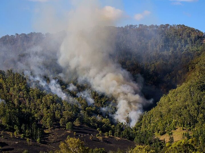 مهار کامل آتش‌سوزی در جنگل‌های مریوان
