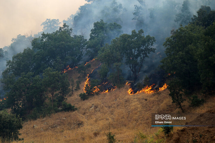 ادامه آتش‌سوزی در جنگل‌های مریوان