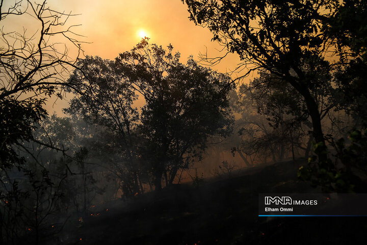 ادامه آتش‌سوزی در جنگل‌های مریوان
