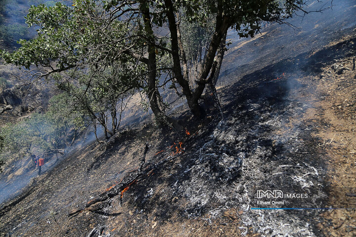 جزئیات تازه از آتش‌سوزی در جنگل‌های تنکابن