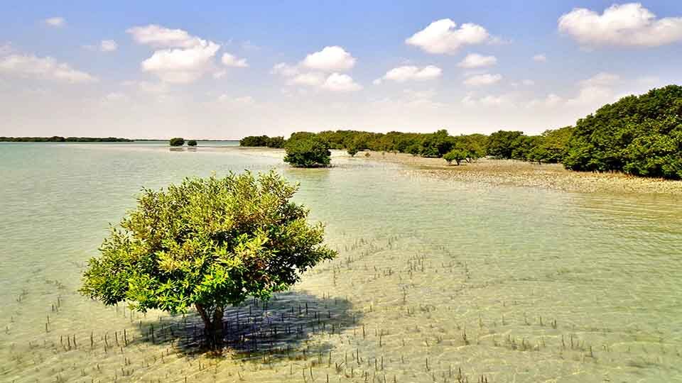 این سواحل هرروز آب میروند!