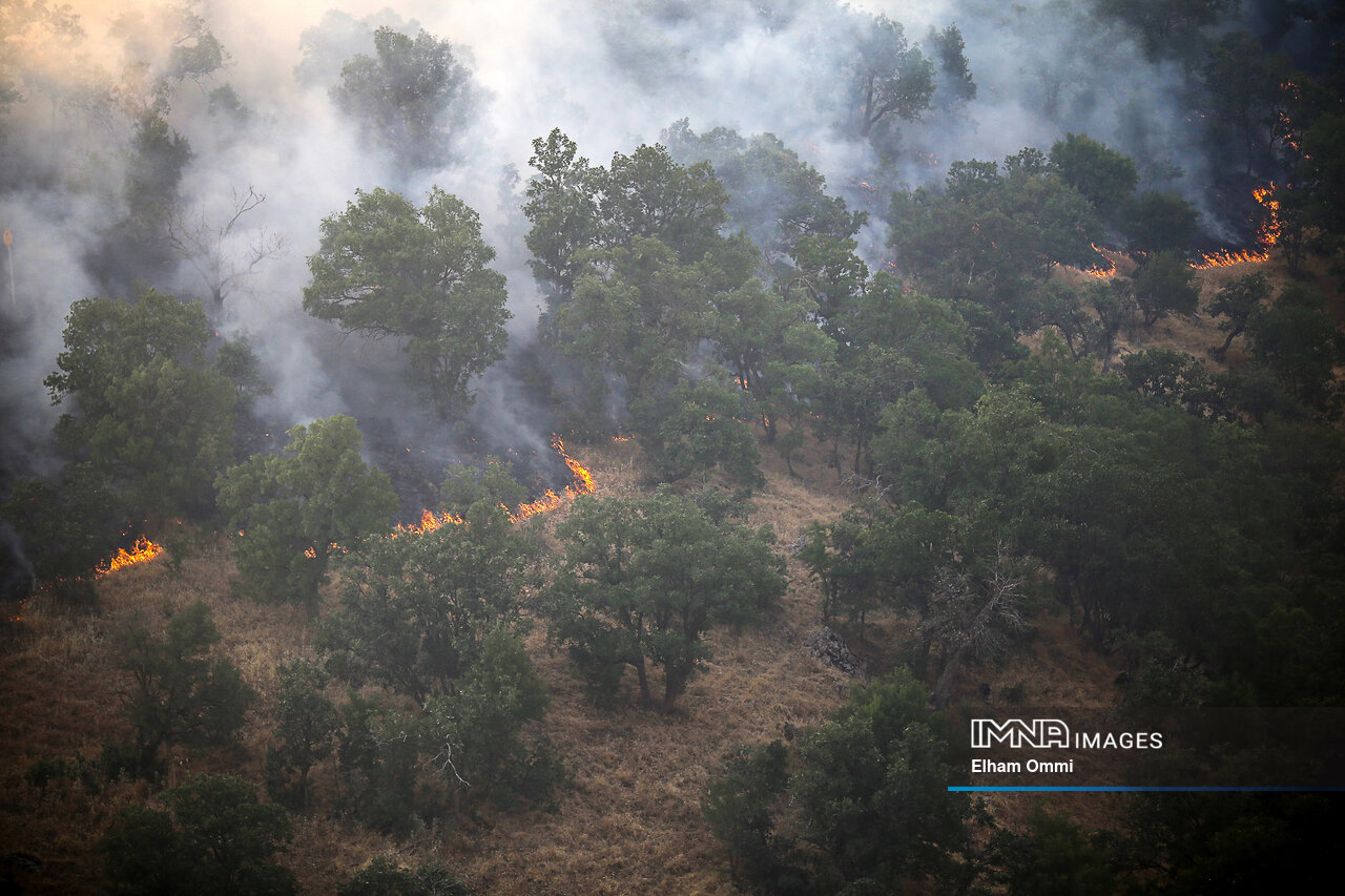فصل آتش‌سوزی جنگل‌ها؛ خطر در کمین ریه‌های زاگرس
