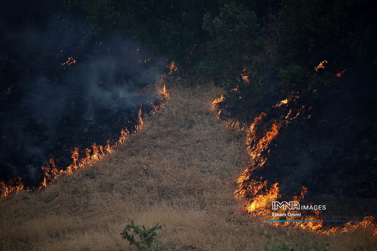 داغی هر ساله بر جان جنگلهای مریوان