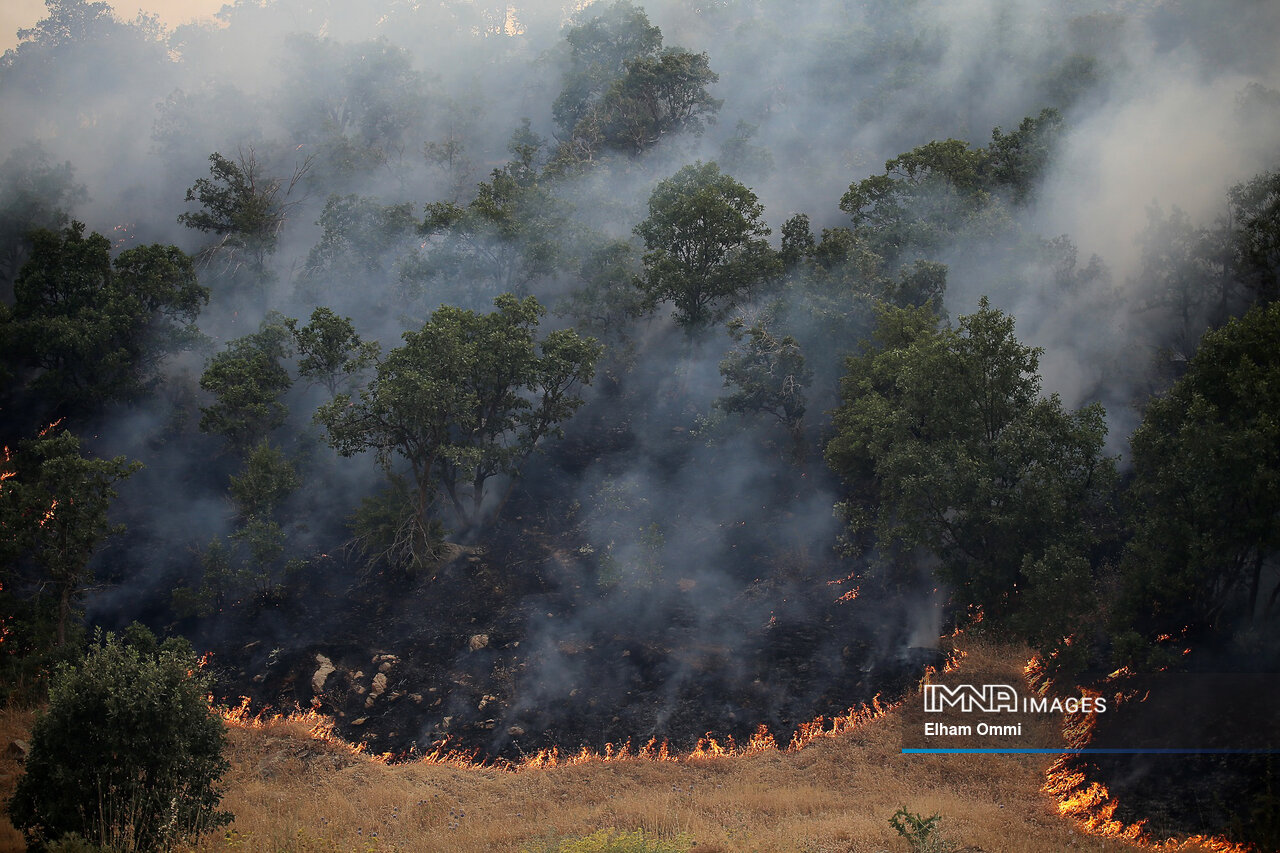 آتش بیاحتیاطی؛ زخمی بر جان طبیعت