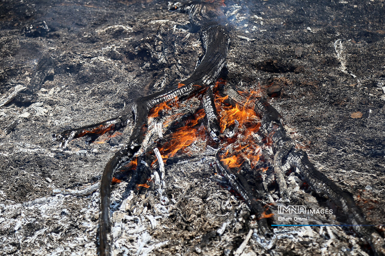 آتشی که سوزاند و داغی که بر دل گذاشت