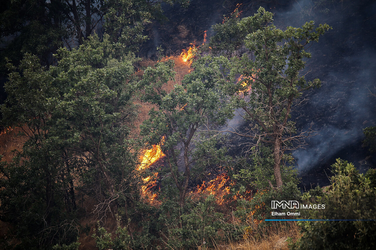 آتش بیاحتیاطی؛ زخمی بر جان طبیعت