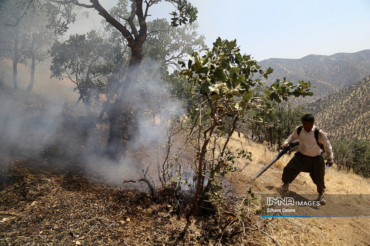 داغی هر ساله بر جان جنگلهای مریوان