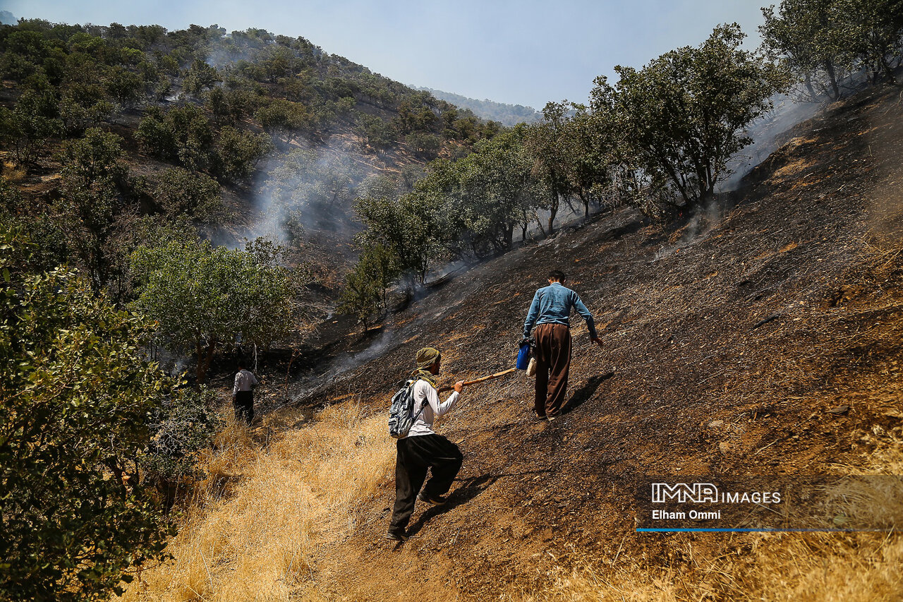 آتشی که سوزاند و داغی که بر دل گذاشت