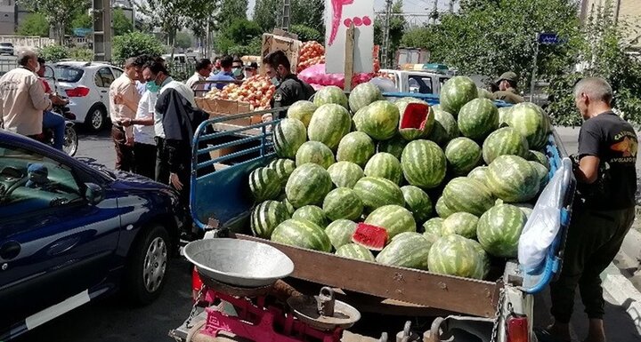 طرح ساماندهی وانت‌بارهای میوه‌فروش هرچه سریع‌تر تکمیل شود