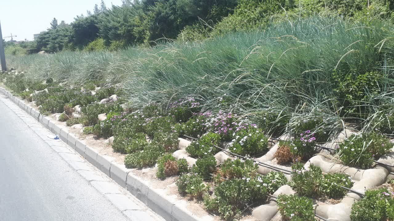 بتن مشبک بهترین گزینه برای استقرار گیاه در شیب بزرگراه‌های اصفهان
