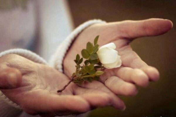 مدارا کردن؛ کلید برقراری روابط بهینه اجتماعی